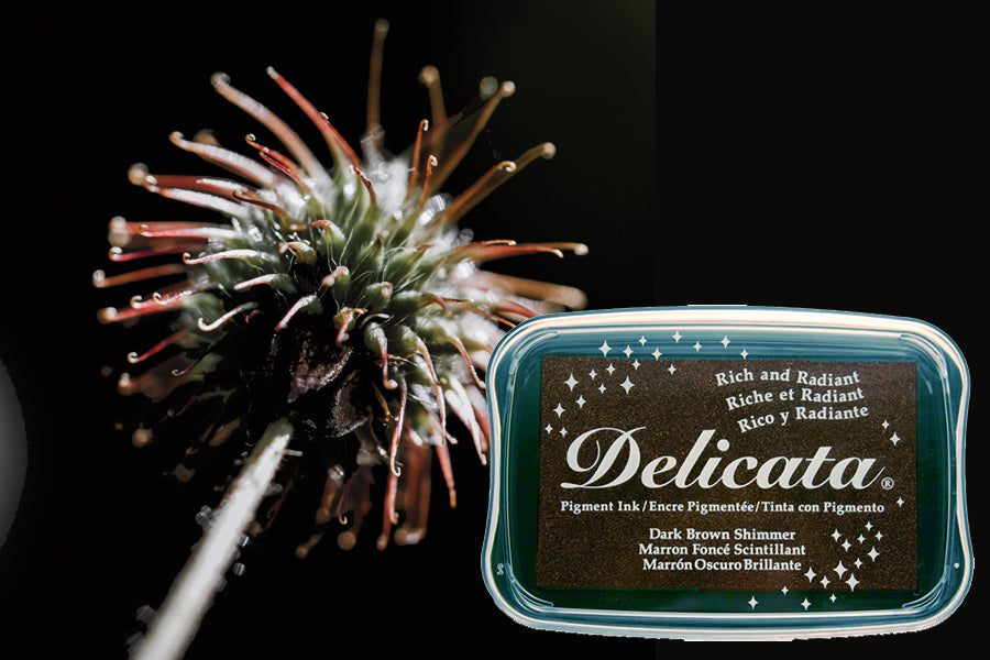 Delicata - Dark Brown Shimmer- Metallik-Stempelkissen