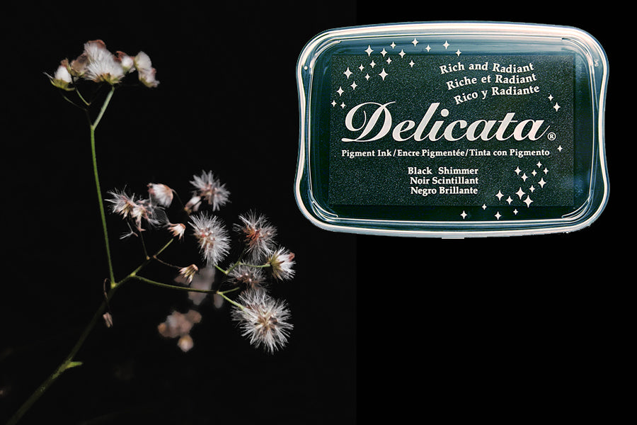 Delicata - Black Shimmer - Metallik-Stempelkissen