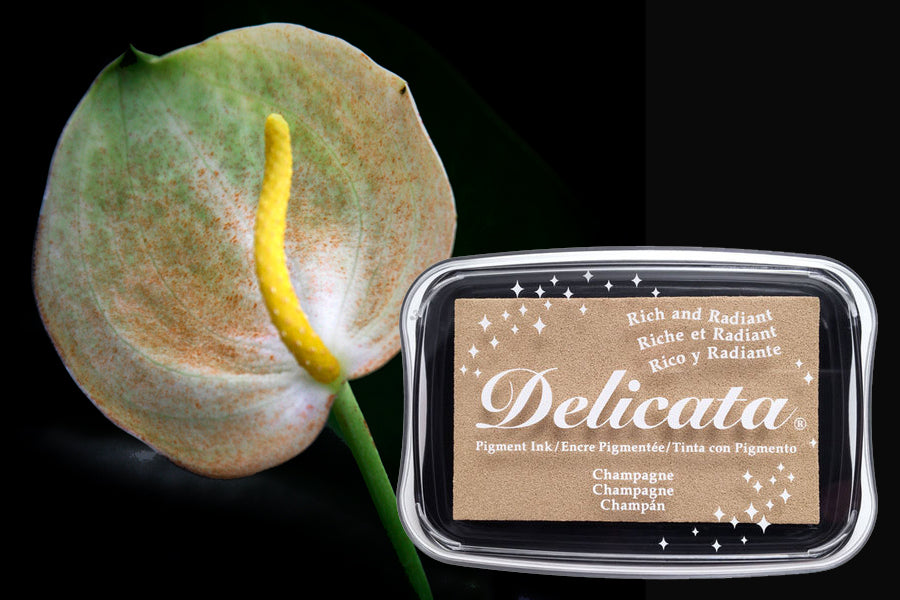 Delicata - Celestial Champagne - Metallik-Stempelkissen (Kopie)