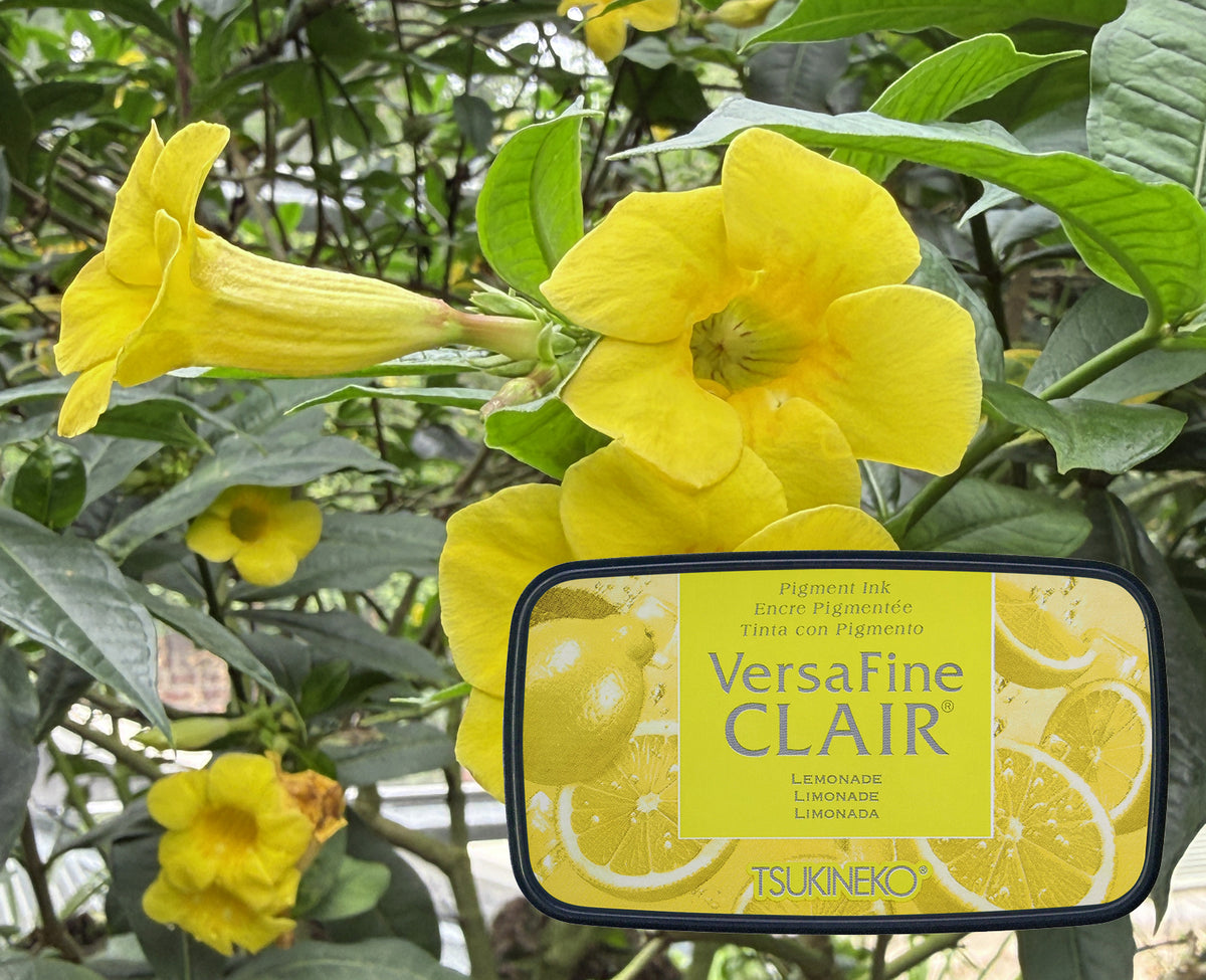 VersaFine CLAIR - Lemonade- VF-CLA-902