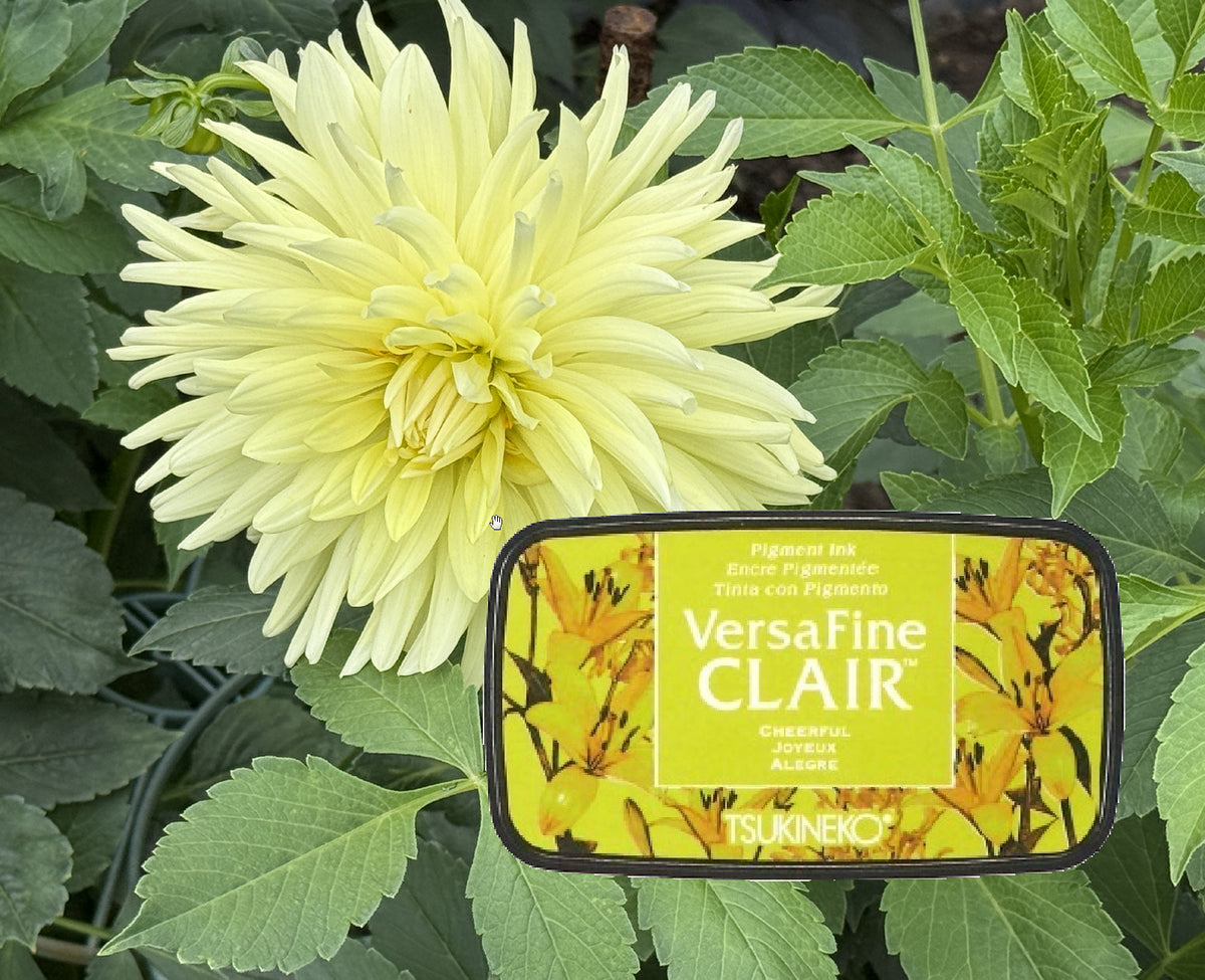 VersaFine CLAIR - Cheerful- VF-CLA-901