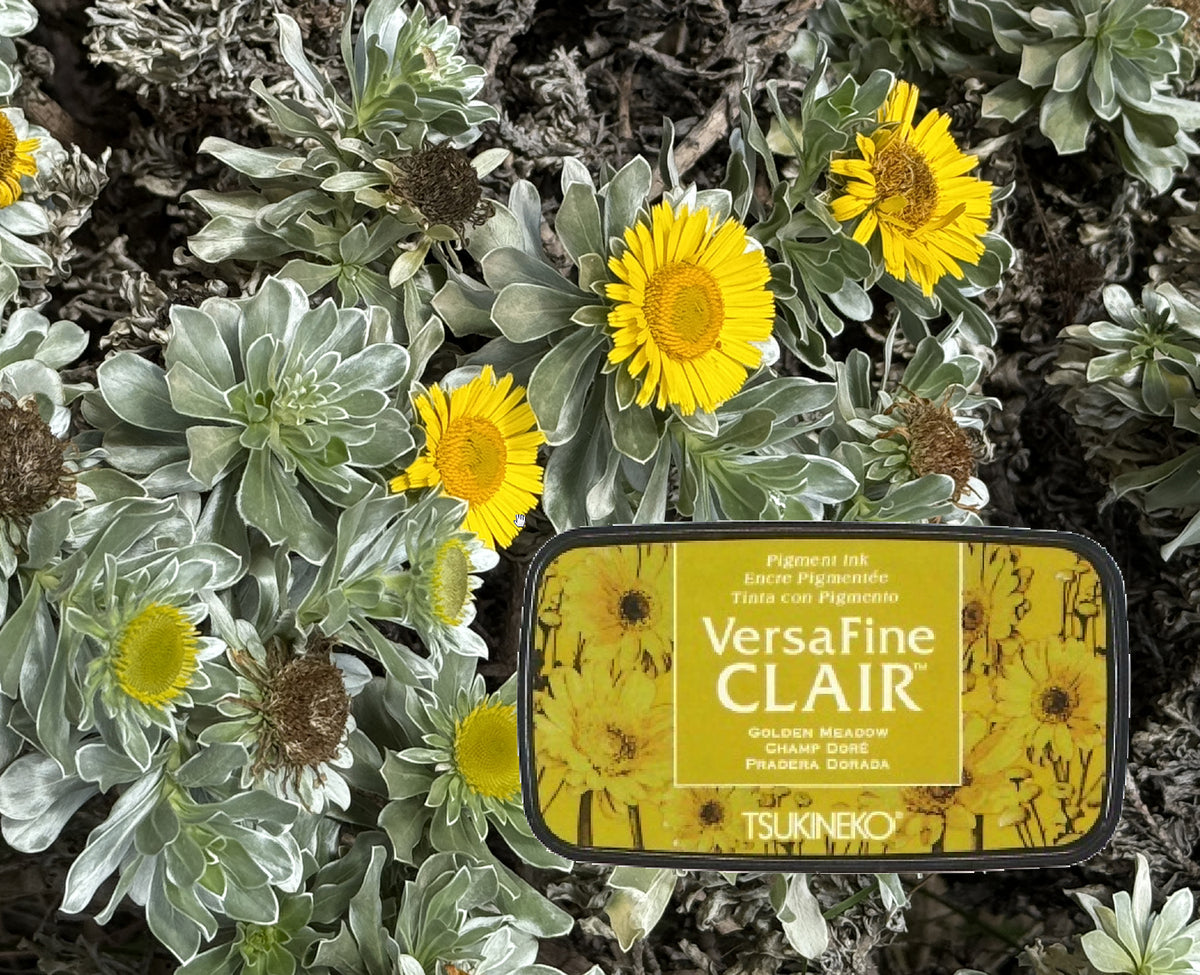 +VersaFine CLAIR - Golden Meadow- VF-CLA-951