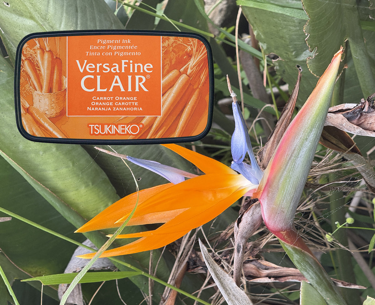 VersaFine CLAIR - Carrot Orange- VF-CLA-703
