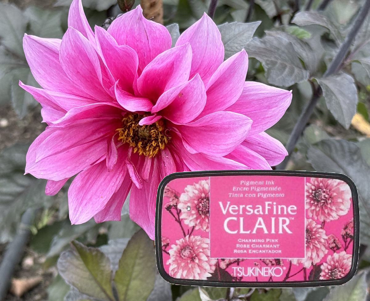 VersaFine CLAIR - Charming Pink- VF-CLA-801