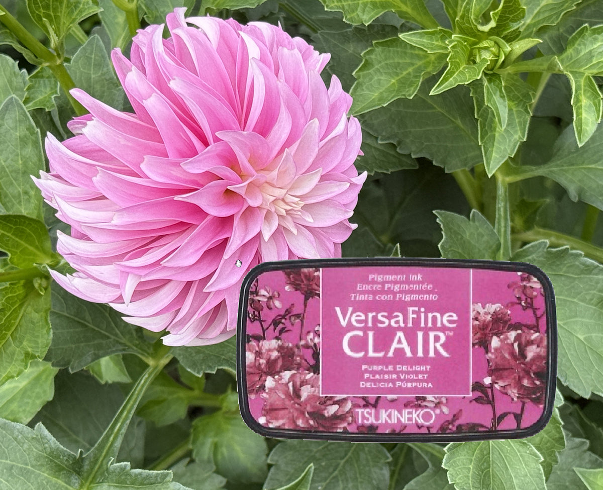 VersaFine CLAIR - Purple Delig- VF-CLA-101