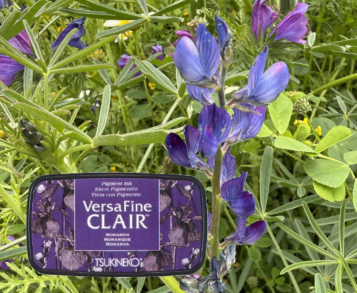 VersaFine CLAIR - Monarch- VF-CLA-152