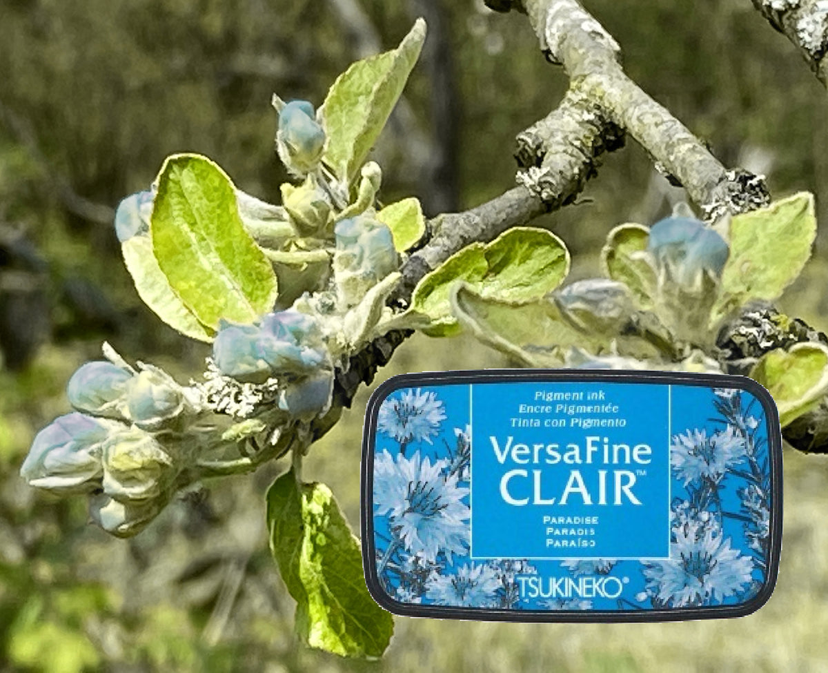 VersaFine CLAIR - Paradise- VF-CLA-60