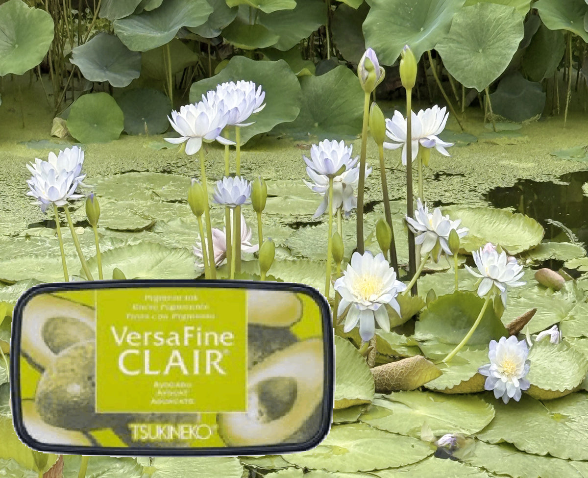 VersaFine CLAIR - Avocado - VF-CLA-554