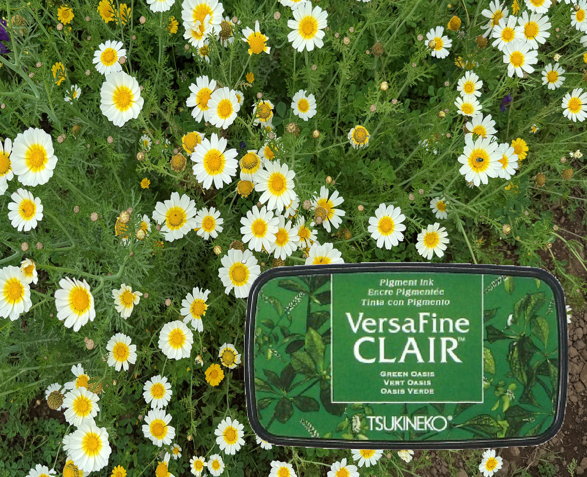 VersaFine CLAIR - Green Oasis- VF-CLA-501