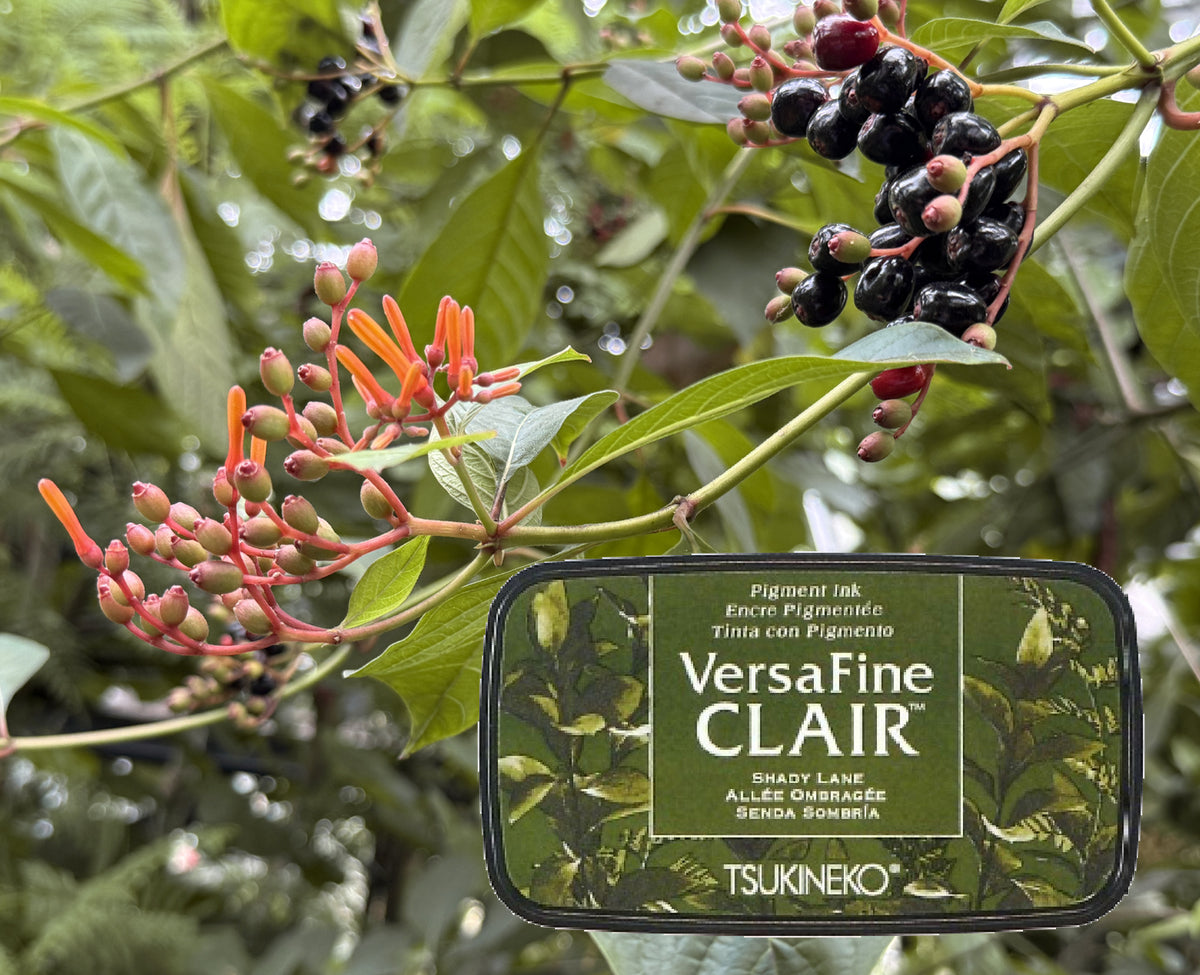 +VersaFine CLAIR - Shady Lane- VF-CLA-552