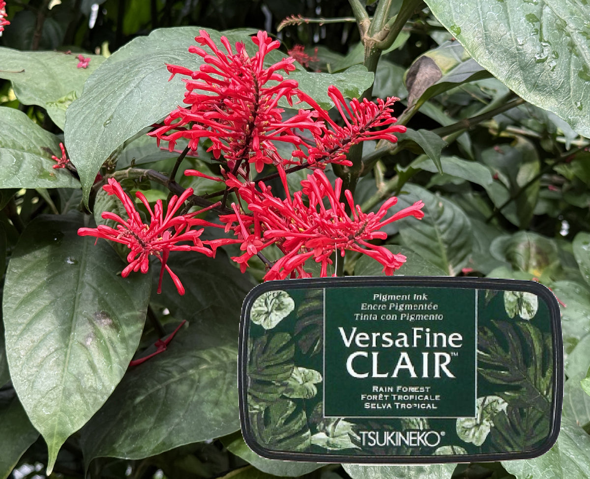 +VersaFine CLAIR - Rain Forest- VF-CLA-551