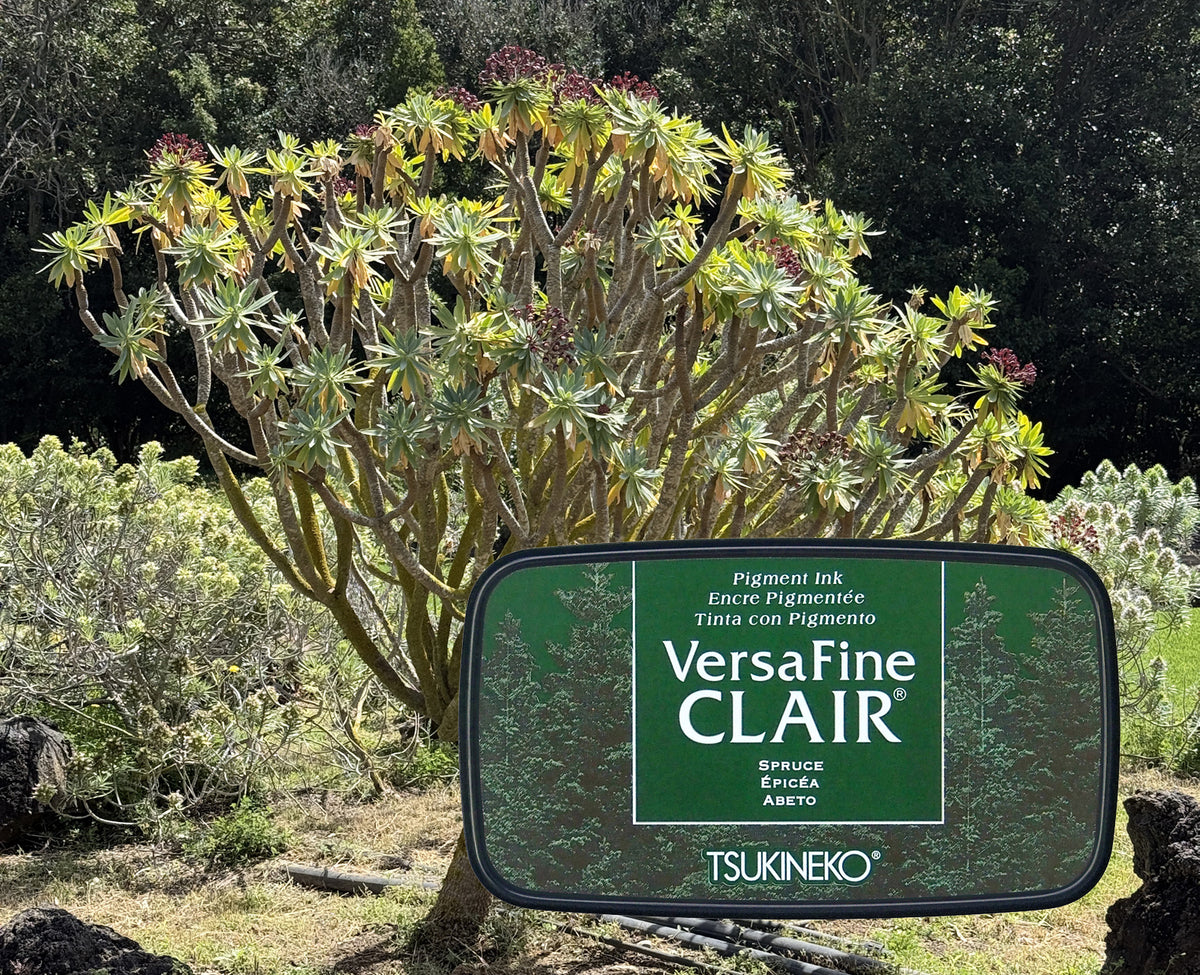 VersaFine CLAIR - Spuce - VF-CLA-553