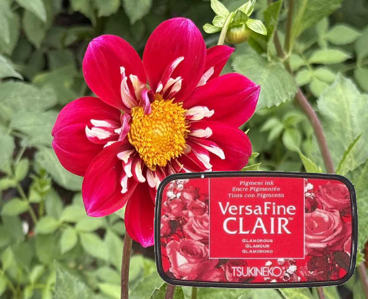 +VersaFine CLAIR - Glamorous- VF-CLA-201