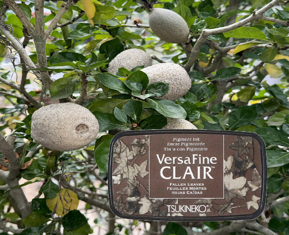+VersaFine CLAIR - Fallen Leaves- VF-CLA-451