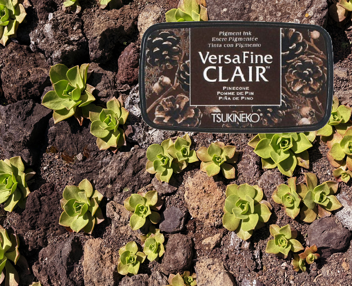 +VersaFine CLAIR - Pinecone- VF-CLA-452
