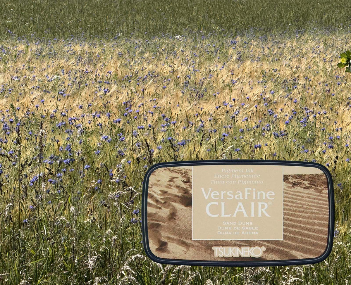 +VersaFine CLAIR - Sand Dune - VF-CLA-455