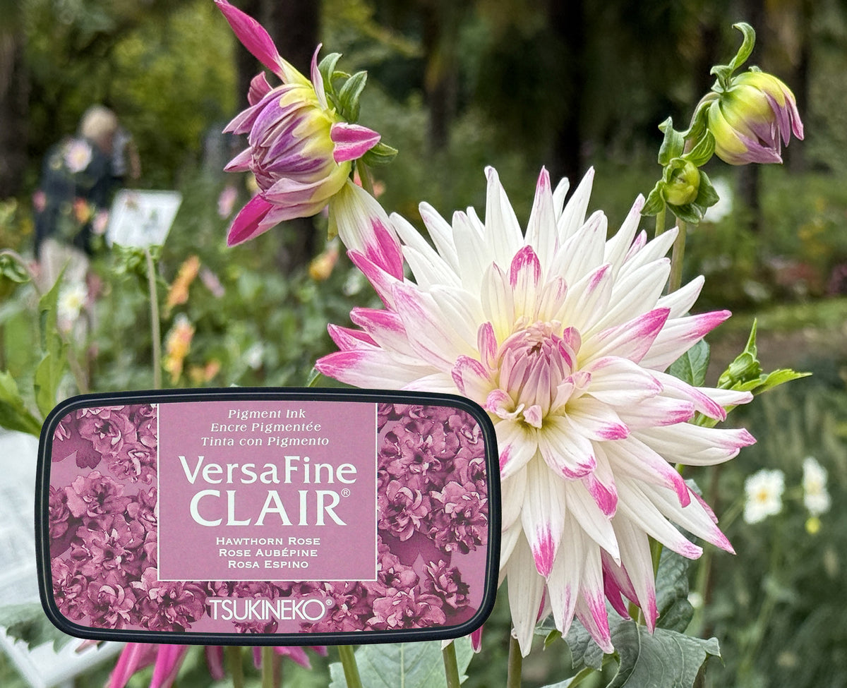 +VersaFine CLAIR - Hawthorn Rose - VF-CLA-251