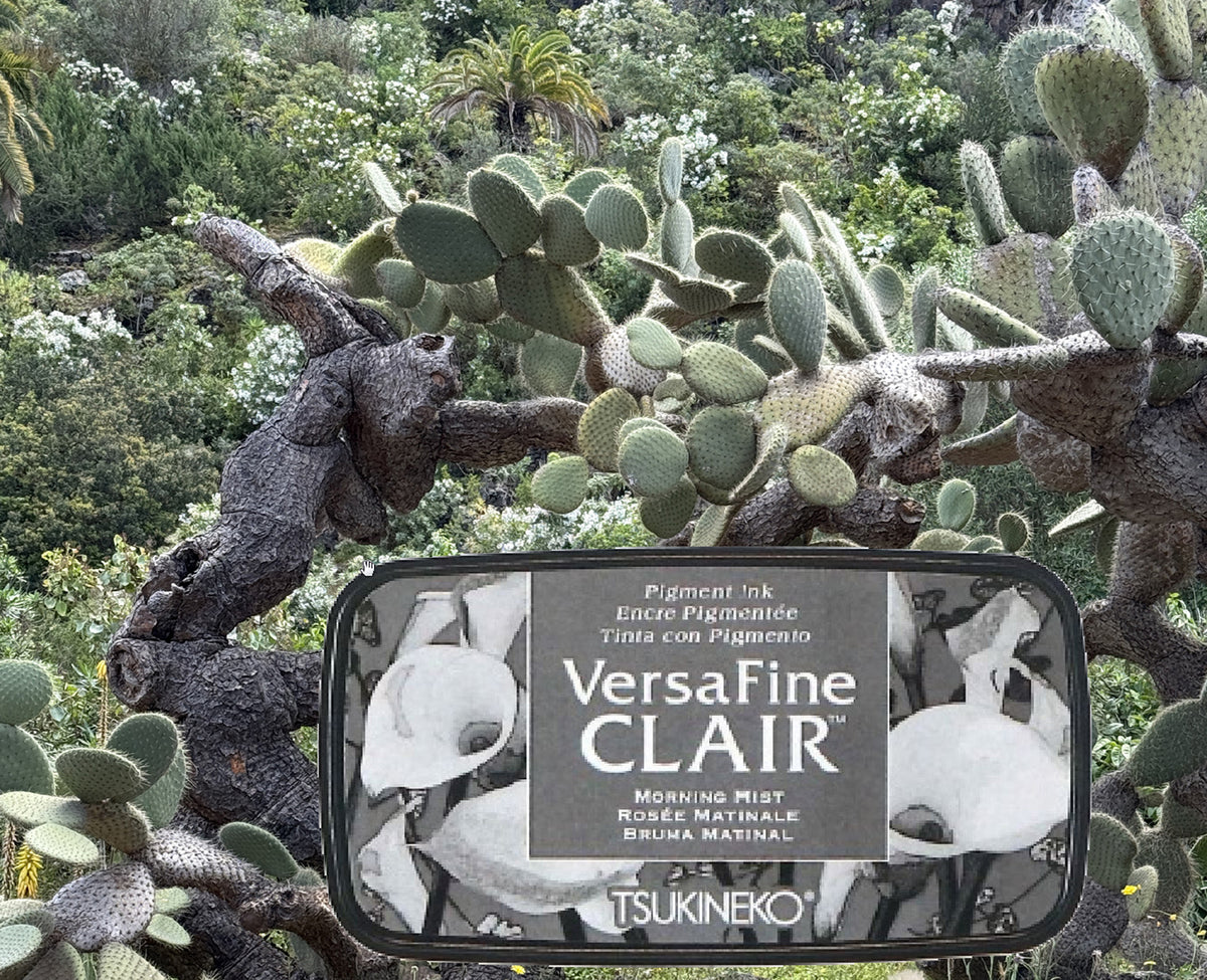 VersaFine CLAIR - Morning Mist- VF-CLA-352